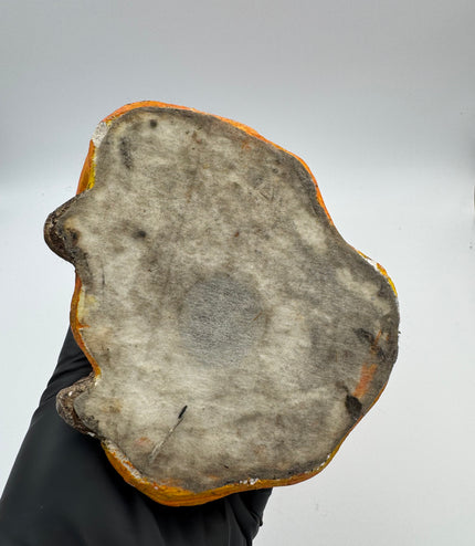 Maceta Antigua De La Santa Muerte