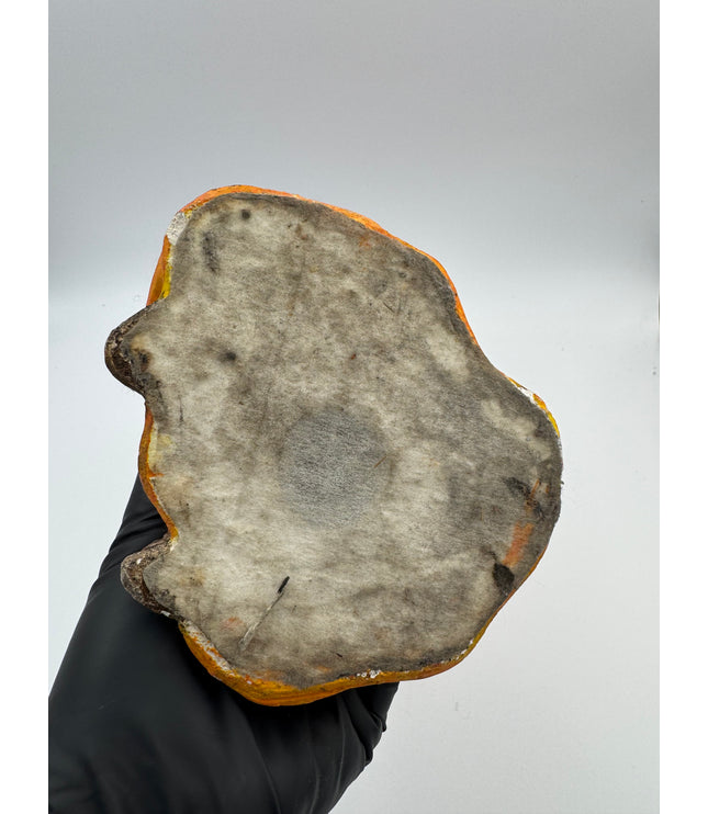 Maceta Antigua De La Santa Muerte