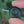 Escape Button